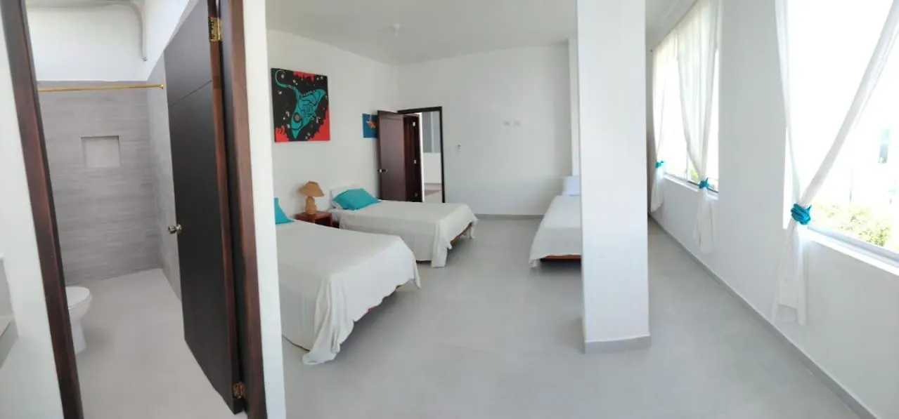 Gallardos Suits Puerto Ayora  Apartmán Puerto Ayora (Galapagos Islands)